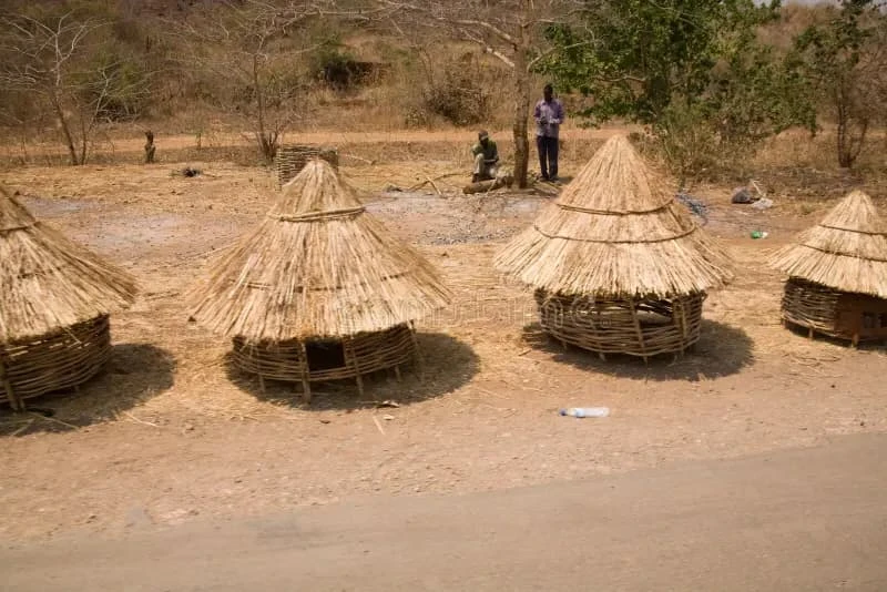 Locally guided village tour in Mfuwe